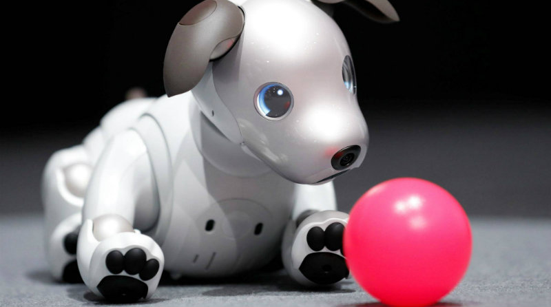 Sony Aibo | Фото: financialtribune