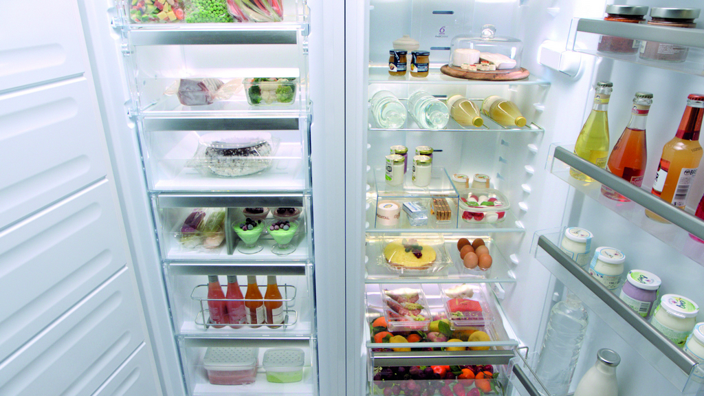Фото Холодильников В Магазине
