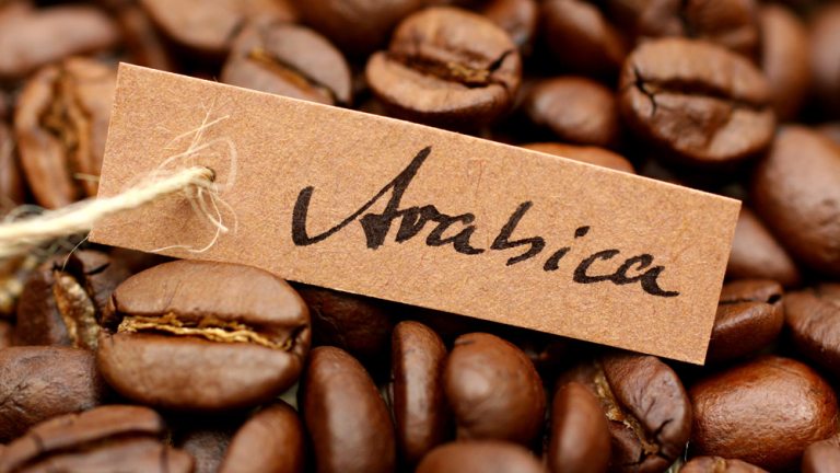 Обзор Bosch VeroCup 100: доверять ли ей кофе? | Чудо техники