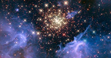 NGC 3603 | Фото: NASA
