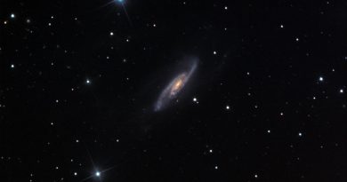 NGC 3981 | Фото: caelumobservatory