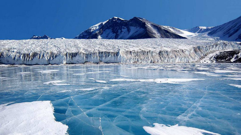 Антарктида | Фото: wetravel.tv