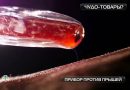 Чудо-товары: прибор дарсонваль для упругости кожи на лице, ловушка для шерсти, перчатка со встроенным фонариком