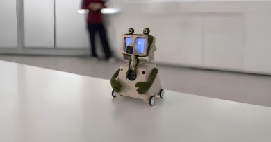 robot_Barabashka Робот-помощник «Барабашка» для душевного равновесия