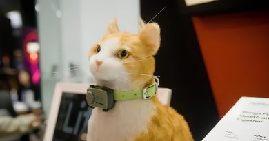 PetPhone