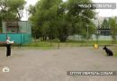 otpugivatel-sobak Поможет ли отпугиватель собак при дрессировке?