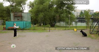 otpugivatel-sobak