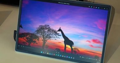 portativnyj-monitor-hp