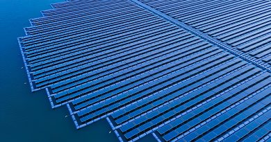 plavayushhij-generator