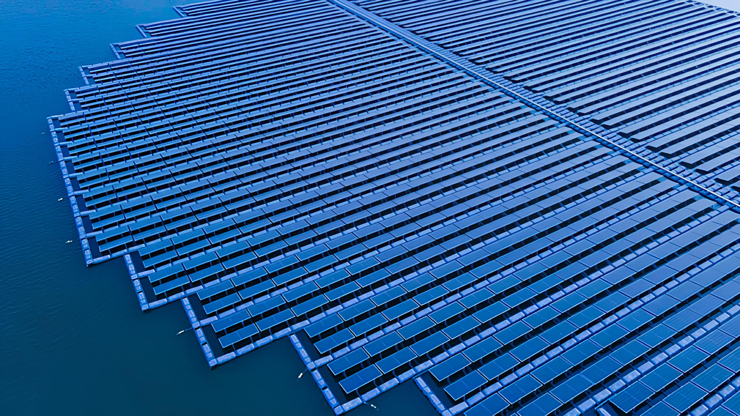 plavayushhij-generator