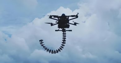 Aerial_Elephant_Trunk