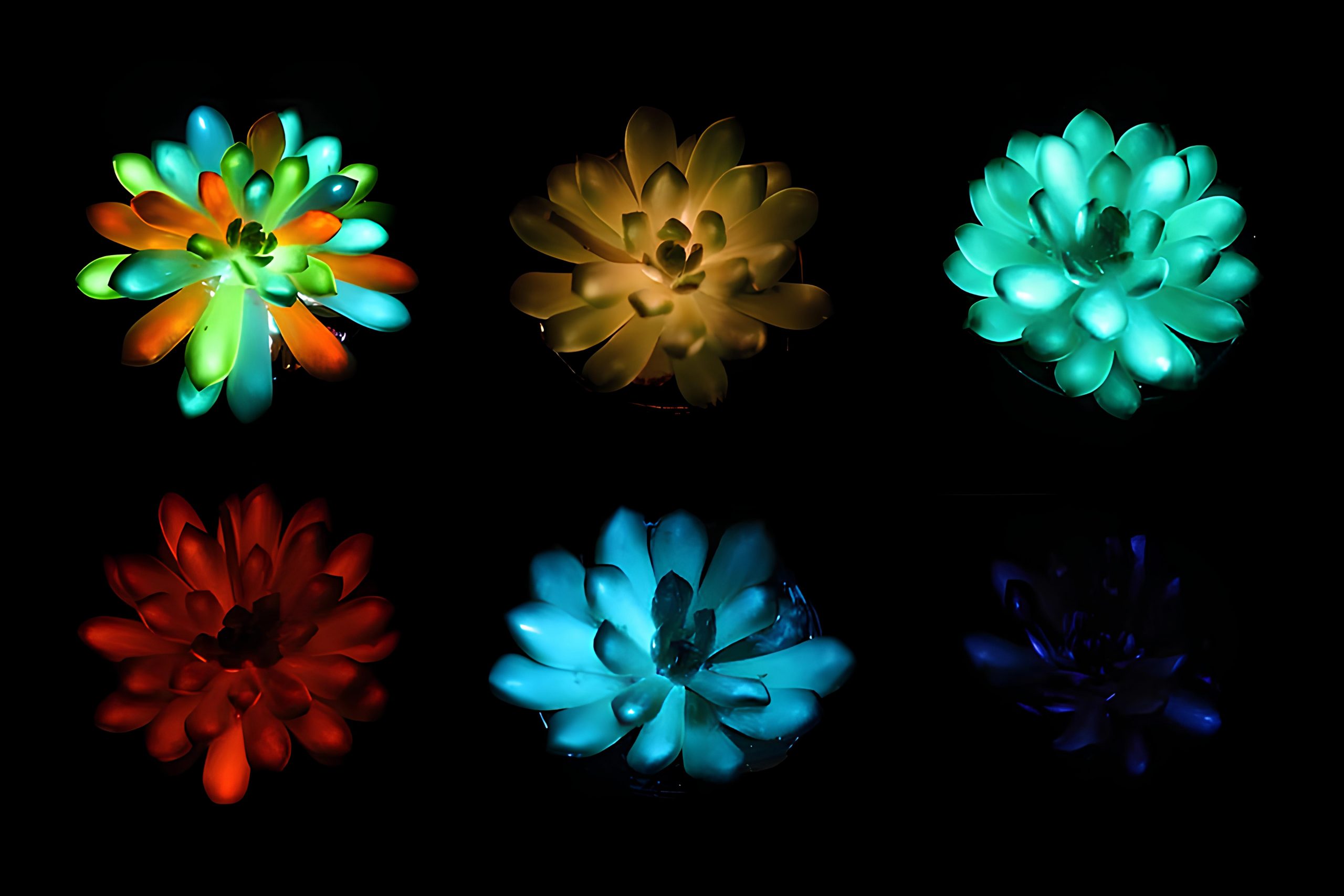 nanochasticy
