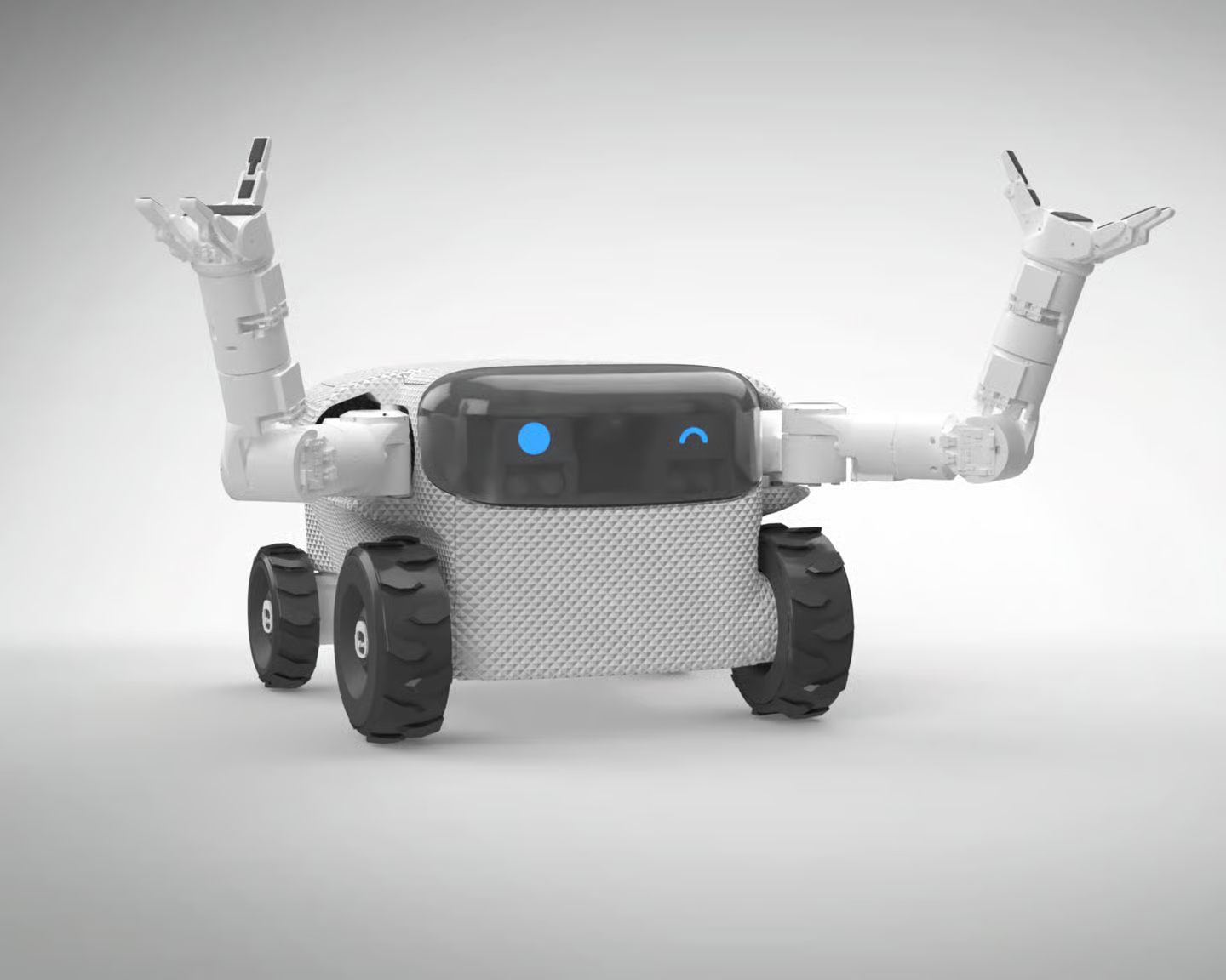 sadovyj-robot-willow-x-ot-eeve
