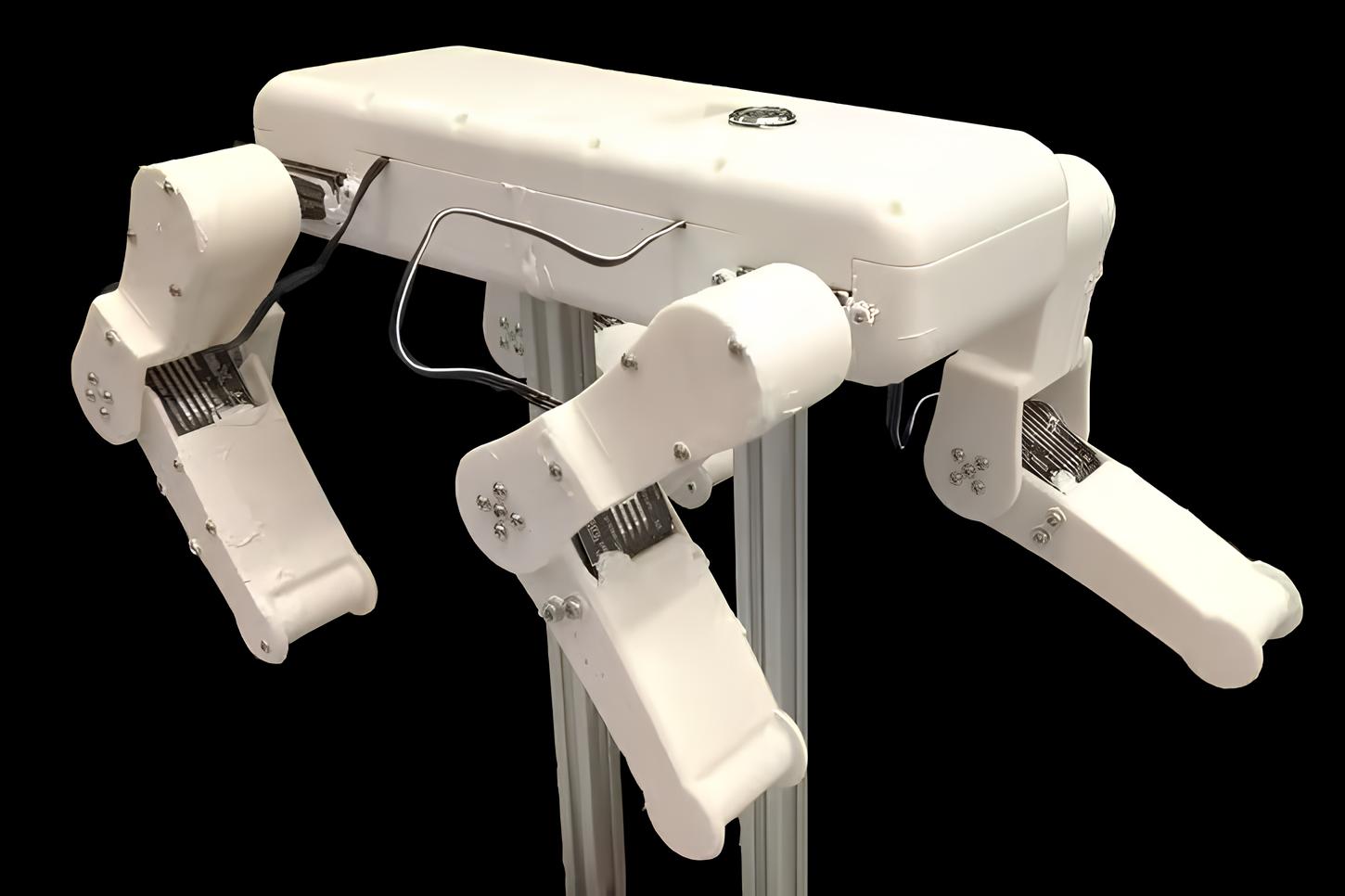 robot-pes-sposoben-plavat-kak-nastoyashhaya-sobaka