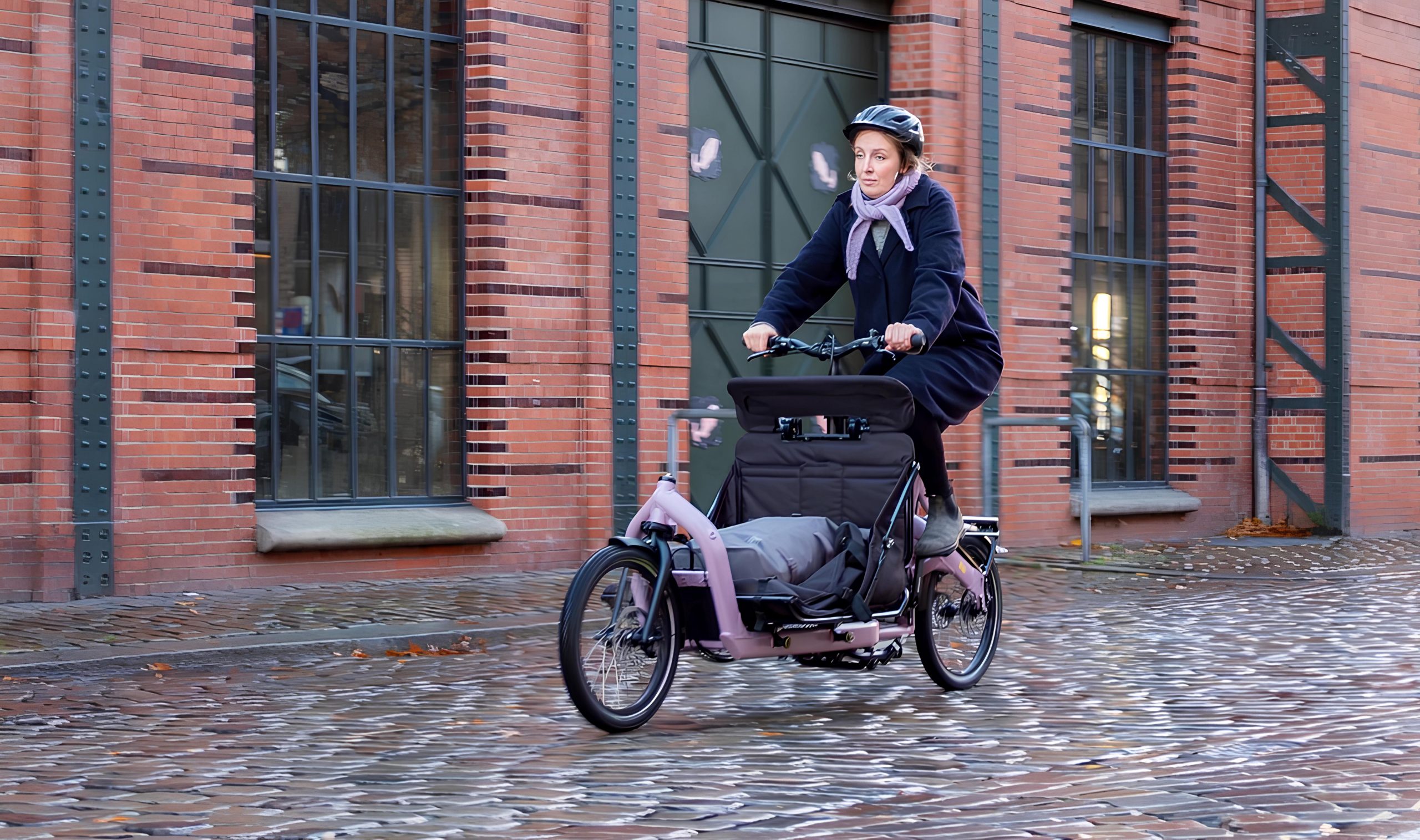 gruzovye-velosipedy-long-john-cargo