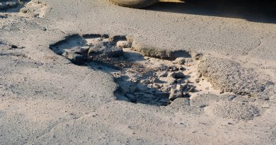 Будущее дорог: асфальт на основе водорослей