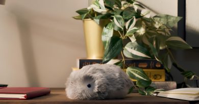 umnyj-pitomets-moflin