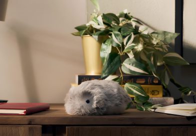 umnyj-pitomets-moflin «Умный» питомец Moflin умеет чувствовать по-настоящему