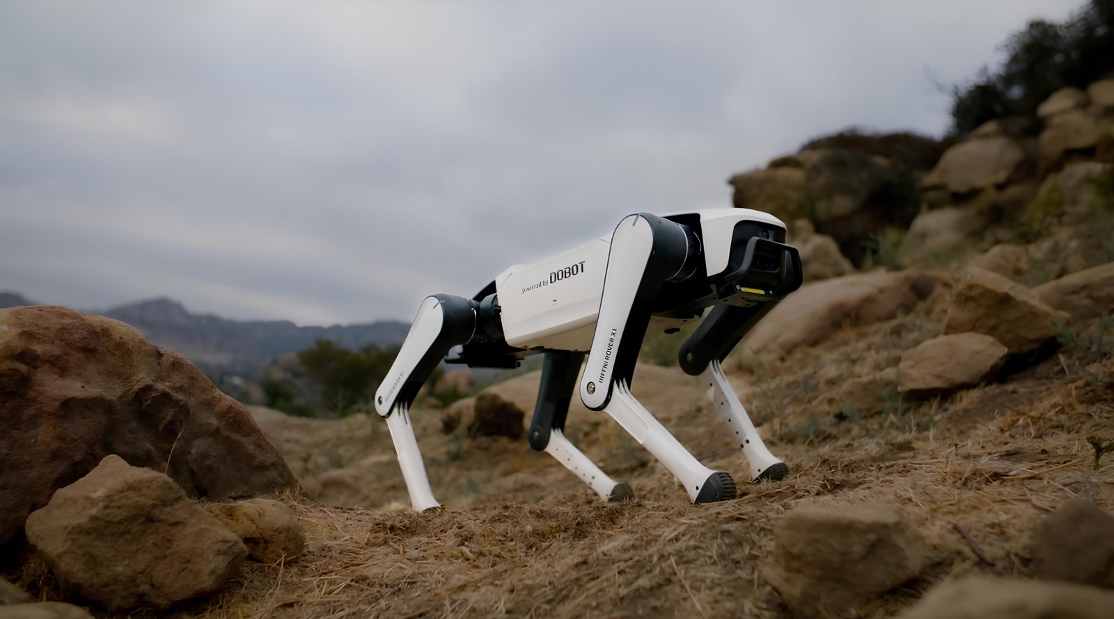 dobot-rover-x1-robot