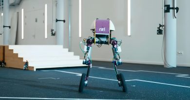 roadrunner-gibridnyj-robot