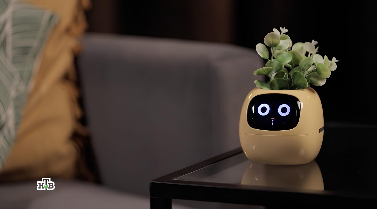 anons-programmy-chudo-tehniki-na-30-noyabrya-2025