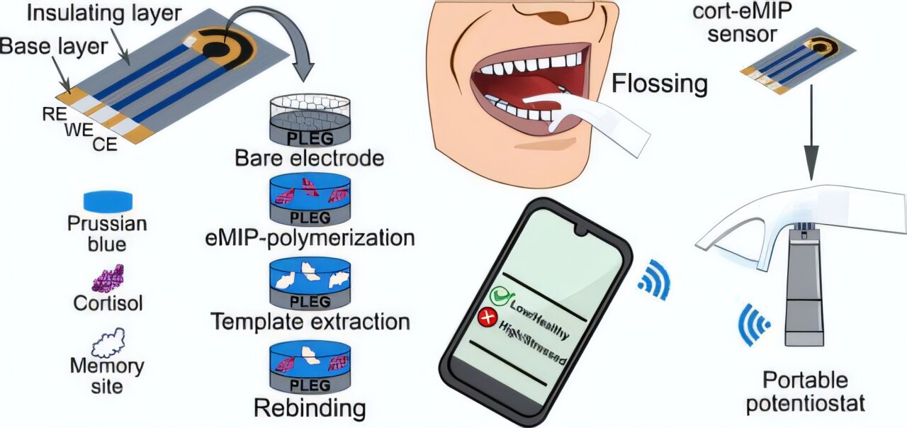 a-new-dental-flosser-e