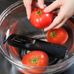 bio-fresher-2 bio-fresher-2