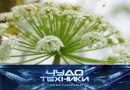 Выпуск программы «Чудо техники» от 7 сентября 2025