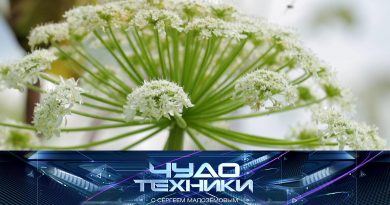 chudo_070925 Выпуск программы «Чудо техники» от 7 сентября 2025