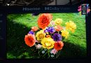 Hisense 116UX: первый в мире телевизор с Dolby Vision 2