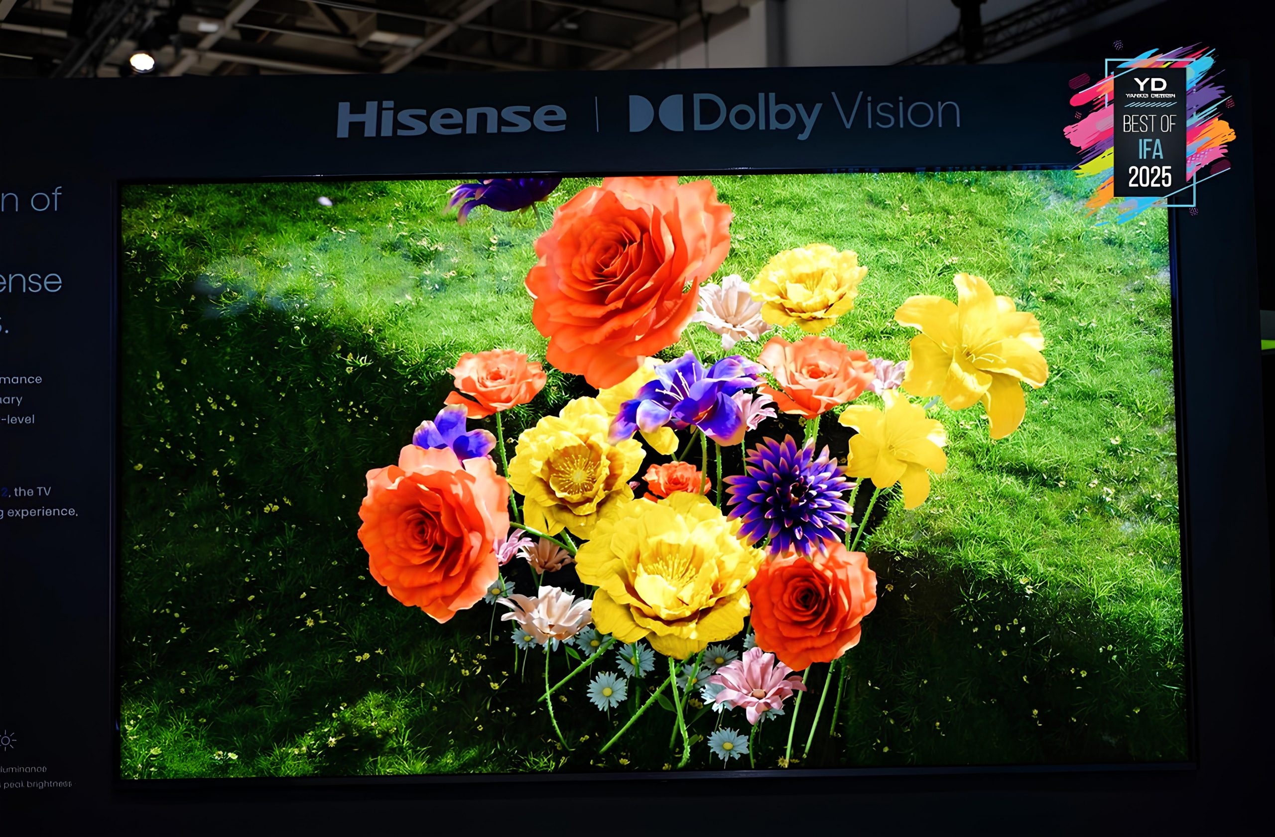 Hisense_116UX