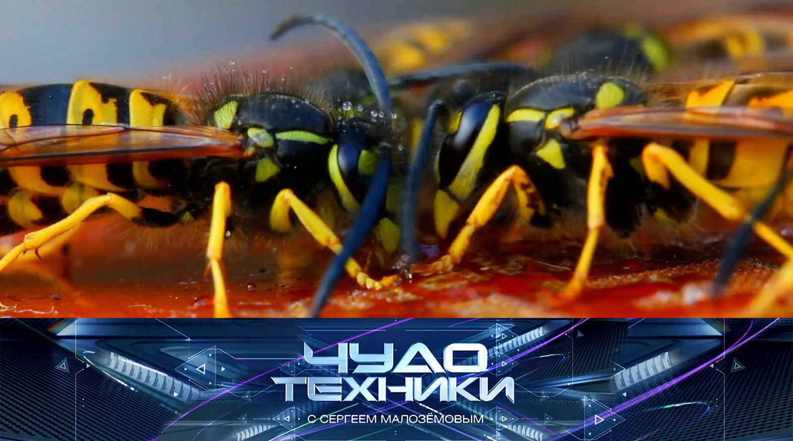 Выпуск программы «Чудо техники» от 14 сентября 2025