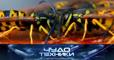 vypusk_chudo_tekhniki_14092025 Выпуск программы «Чудо техники» от 14 сентября 2025