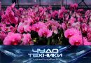 Выпуск программы «Чудо техники» от 8 марта 2026