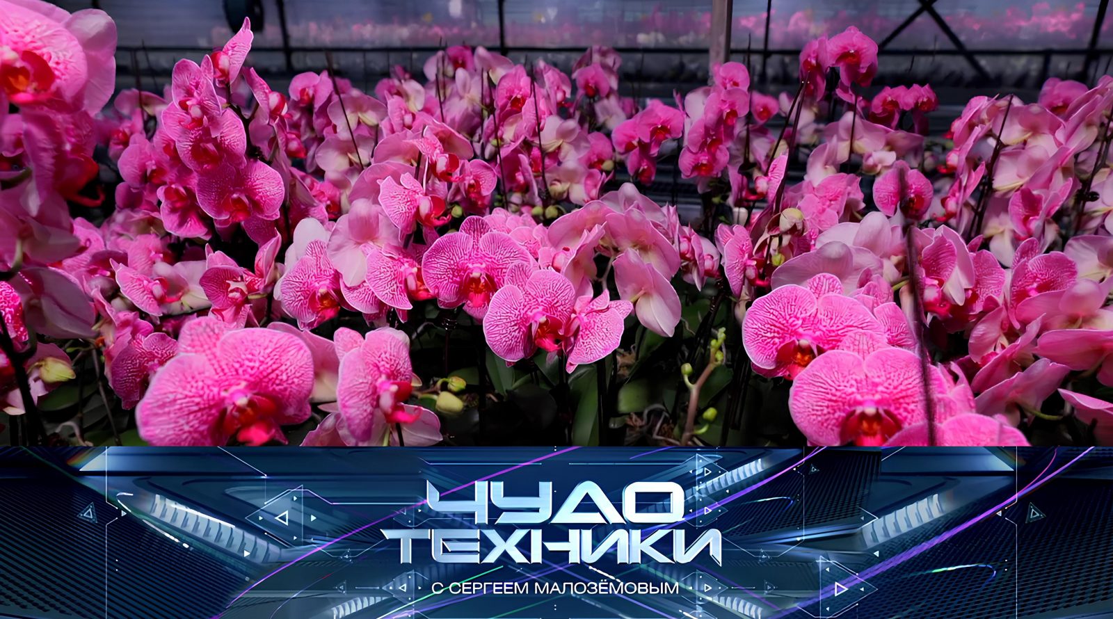 Выпуск программы «Чудо техники» от 8 марта 2026