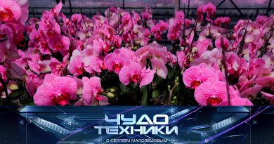 Выпуск программы «Чудо техники» от 8 марта 2026