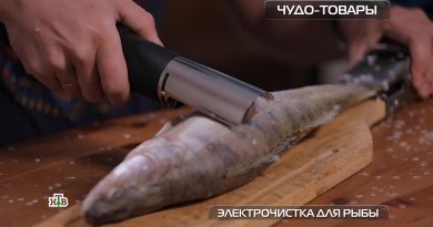 Проверка эффективности электрочистки для рыбы