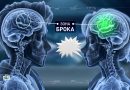 kak-rabotaet-mozg-pri-zaikanii Как работает мозг при заикании и поможет ли испуг решить проблему