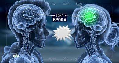 Как работает мозг при заикании и поможет ли испуг решить проблему