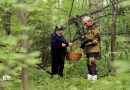 Проверка новаций для грибников
