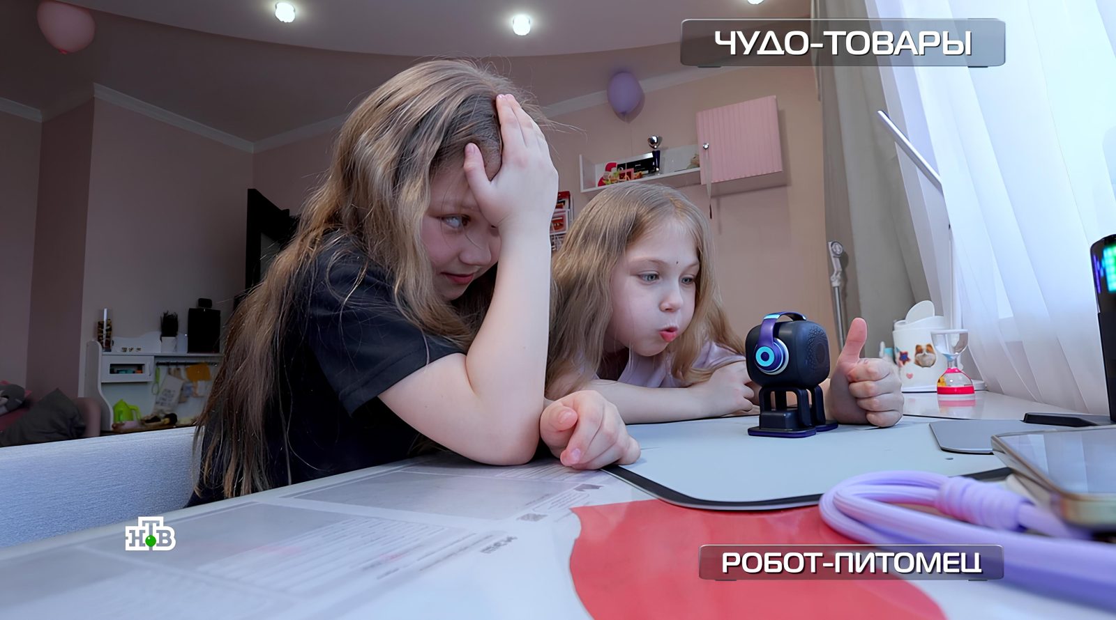 robot-pitomets