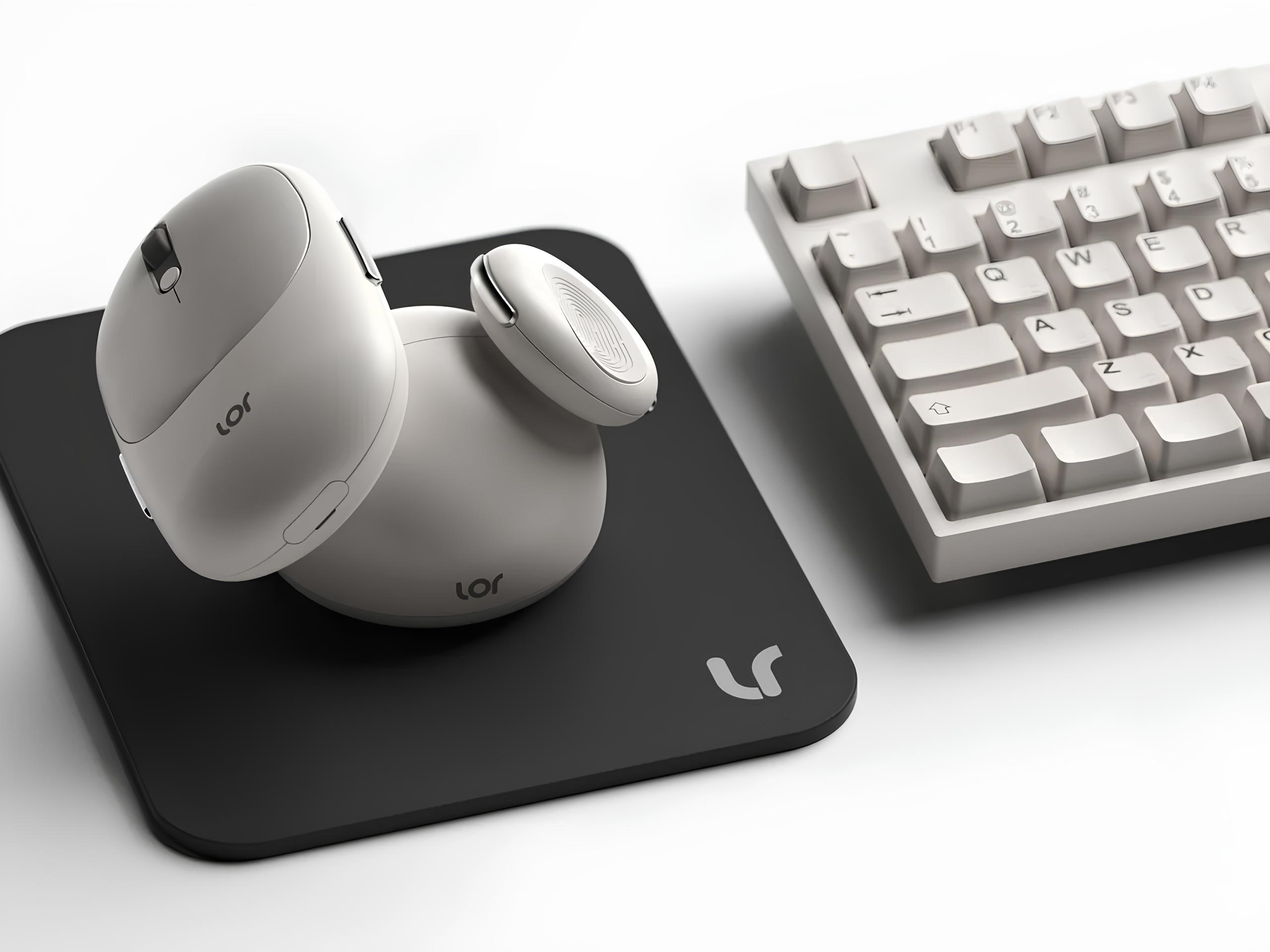 modulnaya-mysh-lor-1