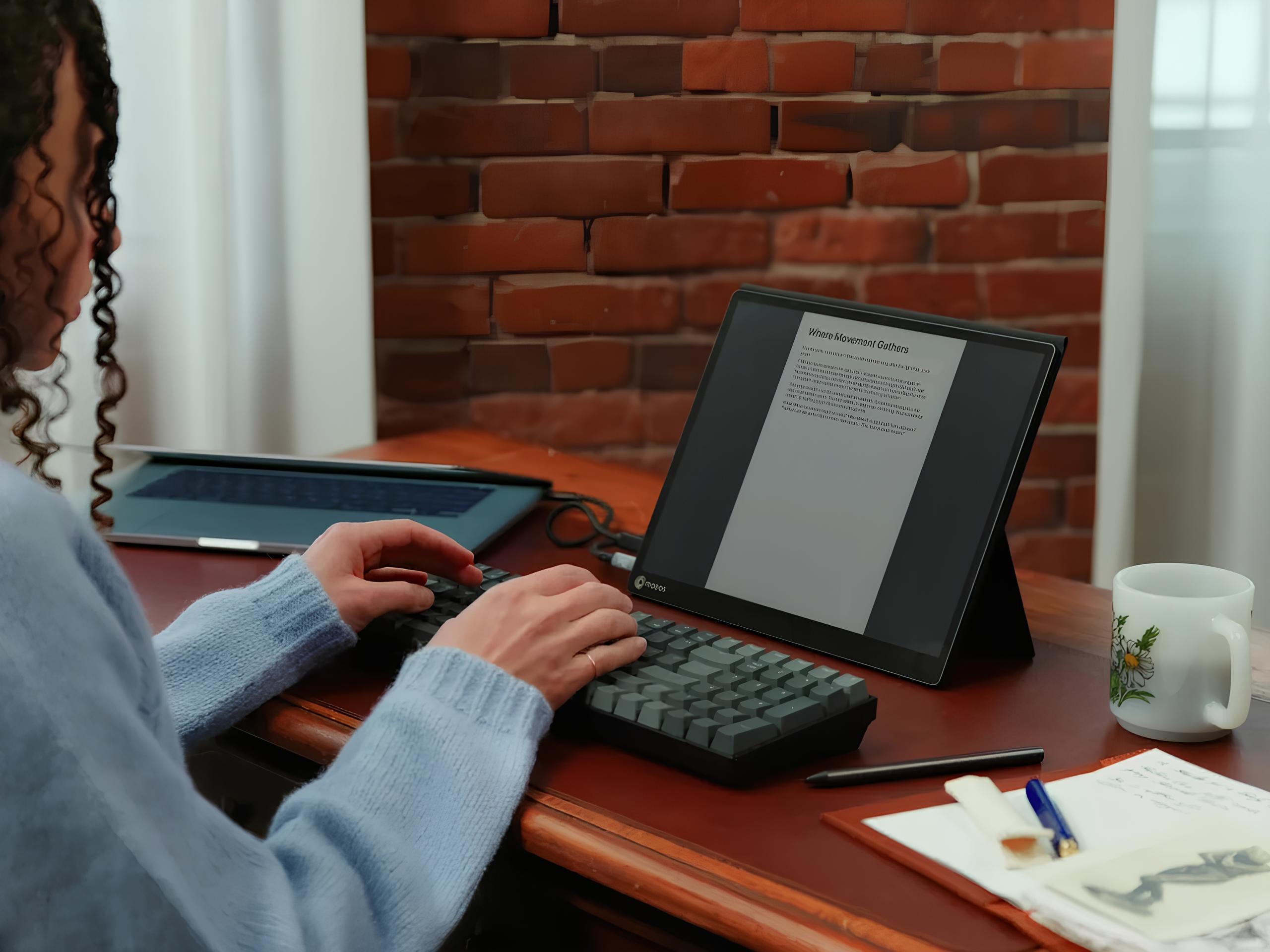 e-ink-monitor-modos-flow-1