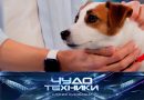Выпуск программы «Чудо техники» от 29 марта 2026