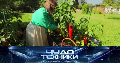 Выпуск программы «Чудо техники» от 14 июня 2026