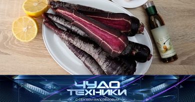Выпуск программы «Чудо техники» от 30 августа 2026