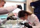 Чисто без воды: способны ли сухие шампуни заменить обычные