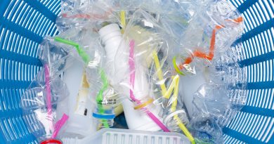 metod-razlozheniya-pet