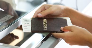 Новая система досмотра: биометрия вместо паспортов в аэропортах России